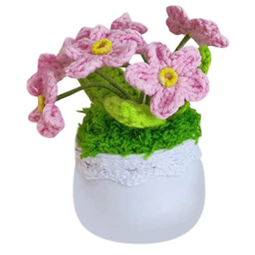 Mini Crochet Plantes en Pot - Idée Cadeau Mignon et Original