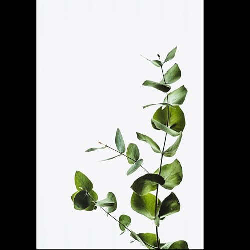 Gottes K&ouml;rnlein