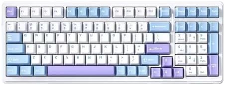 Amazon.com: EPOMAKER RT100 Purple Mechanical Gaming Keyboard with ...