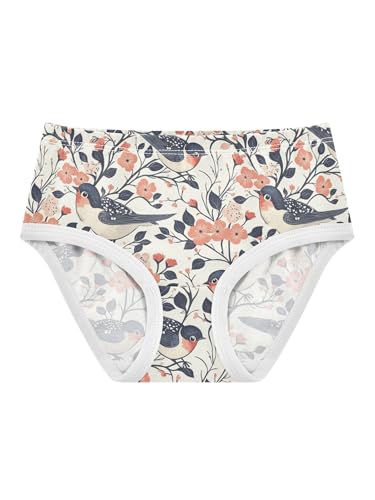 ZZKKO Birds and Flowers Girls Underwear Toddler Panties for Girls Comfort Brief Size 2-8T