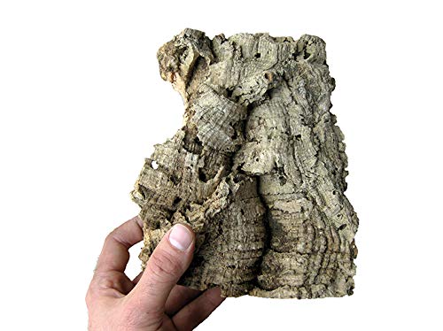 Geosism & Nature Zattera in Sughero per Orchidee e Tillandsia c.ca 20x15 cm