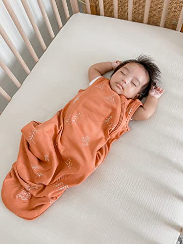 Image of Ecolino Organic Cotton Baby Sleep Sack - 2-Way Zipper Baby Wearable Blanket - Toddler Sleeping Bag Sack - 18-36 Months - Desert