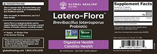 Global Healing Latero-Flora, Probiotic Supplement For Gut Health, Digestion And Candida Cleanse Support - Detox Colon, Strengthen Gut Flora & Immune System - Men & Women - Non-Gmo, Vegan, 60 Capsules #TOP1