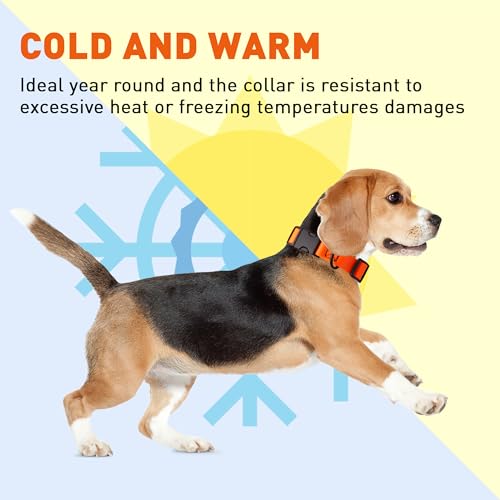 Image of Dogline Biothane Waterproof Dog Collar with Quick Release Buckle Strong Coated Nylon Webbing with Odor- Proof for Easy Care Easy to Clean Fits Small Medium Large Dogs, Orange 5 /8 inch W 9-14 inch L