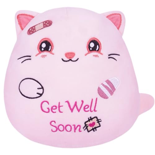 NIUBEHOHO Get Well Soon Plush Cat - Adorable Pink Cat Stuffed Animal Perfect Get Well Soon Gift for Girls 8 Inch