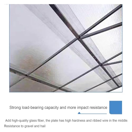 Feuilles pour Serres et Terrasse en Polycarbonate Solide