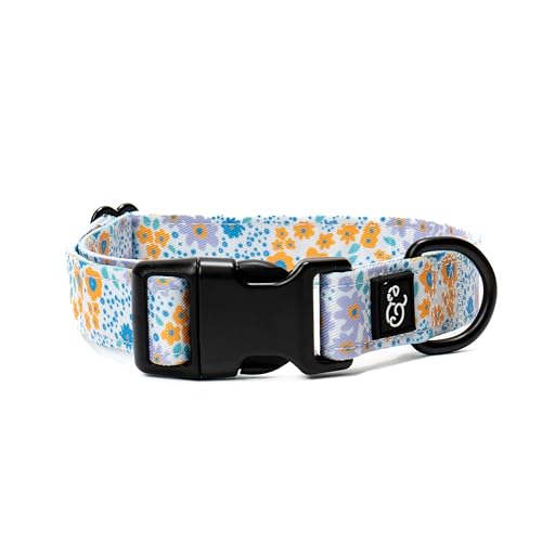 Collier pour chien robuste avec boucle métal réglable M