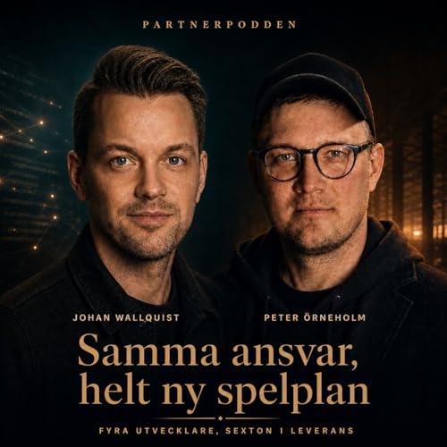 Tech-CTO: Samma ansvar - helt ny spelplan - Peter &Ouml;rneholm, Budi Auktioner