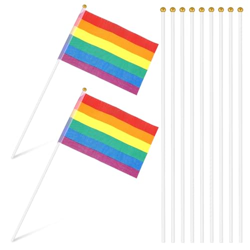 FOMIYES 50 Pezzi Aste per Bandiera Portatile in Plastica 40 Cm Resistente All’usura Pennone per Festa Decorazioni Esterne e Sale Riunioni