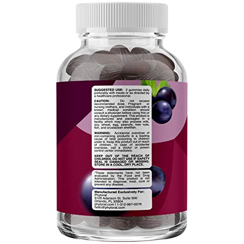 Natural Multivitamin Iron Gummies For Adults - Adult Gummy Vitamins With Iron And Energy Boost B Complex Vitamins - Gummy Iron Supplement And Mental Clarity And Focus Multivitamin With Iron Gummy #TOP1