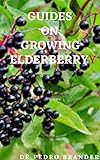  GUIDES ON GROWING ELDERBERRY: simple ways to grow elderberry for refreshment, healthy usages and profit making (English Edition)
