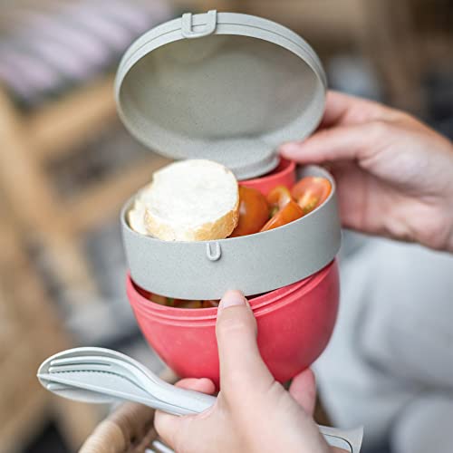 Koziol Bento Box M #TOP3