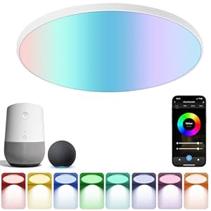 HOTUT RGB Ceiling Light 24W Dimmable LED Ceiling Light,WiFi Bathroom LED Lights Ceiling,Remote & APP Control,2700K-6500K,Round Flush Smart Ceiling Lights Work with Alexa Google Bluetooth for Bedroom