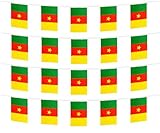 FFILL Cameroon Banner Flag String, Cameroon Mini Flag Small Banner, for Party, Shops and Bars Decorations, And International Day Celebrations. (Cameroon)