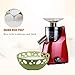 Electric Household Stone Mill Dry and Wet Grinding Machine, Multifunctional Commercial Sesame Paste Soy Milk, Tofu, Rice Noodle Rolls, Peanut Butter,C