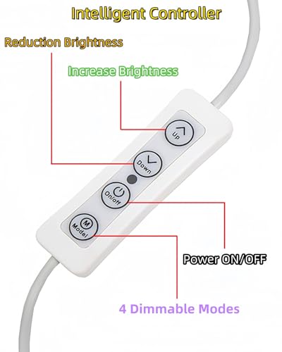 Panneau LED ouvert grand format 76,2 cm à intensité variable fixe
