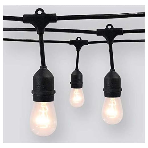 Smith & Hawken 10ct Heavy-Duty Drop Outdoor String Lights - Threshold (Black)