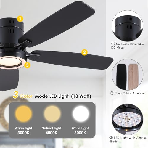 NSXQMUV 52 Inch Modern Ceiling Fans with Lights Flush Mount Indoor, Black — view 4