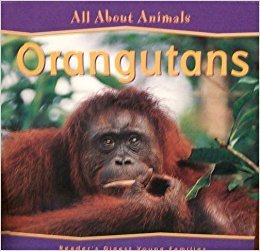 Orangutans (All About Animals) 1599391139 Book Cover