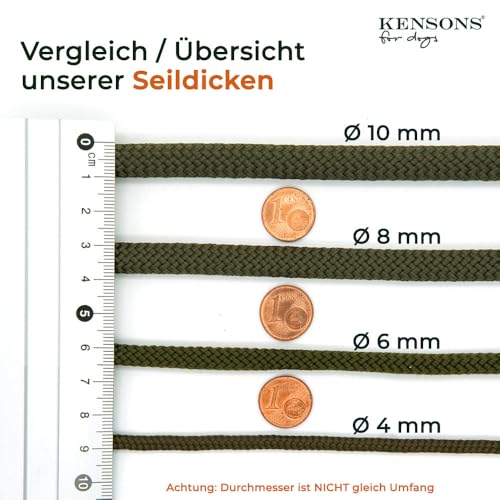 Retriever-Leine/Moxonleine Sporty-Style | robuste Hundeleine aus Tau mit Klemme & Halsbandfunktion | 6mm – besonders griffig & wetterfest | Training, Alltag & Dummyarbeit