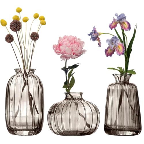 MEETOZ Glass Bud Vase Set of 3- Small Vases for Flowers, Home Table Flower Decor, for Office or Wedding Events