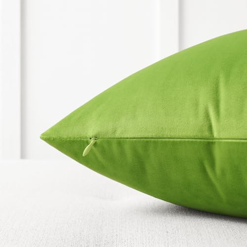 Mixhug Decorative Throw Pillow Covers, Velvet Cushion Covers, Solid Throw Pillow Cases for Couch and Bed, Chartreuse, 24 x 24 Inches, Set of 2