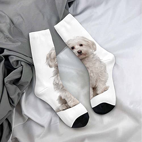 Image of Pehede Socks Mens Fun Dress Socks for Women Funny Novelty Crazy Design Socks