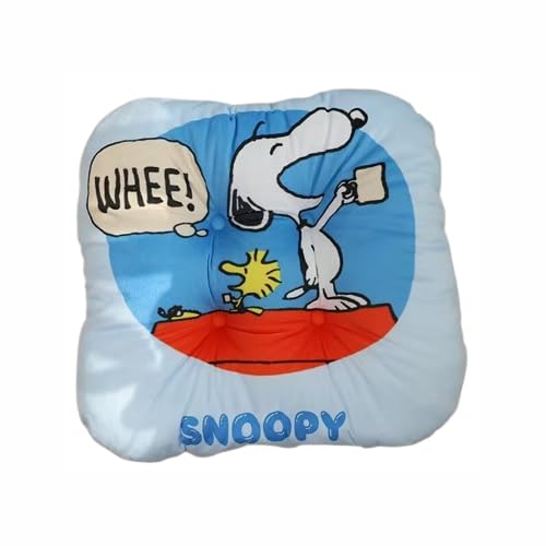 Xk[s[ zc  NbV ֎qp ԗp 40×40cm CeA Mtg (J[3)