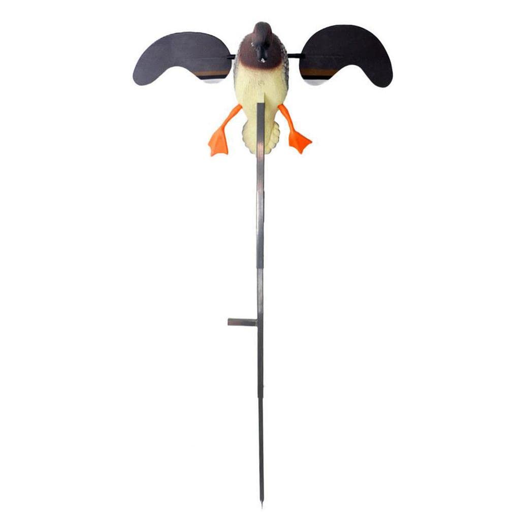 Buy ADITYA Hunting Duck Decoy Electric Flying Duck with Remote Control
