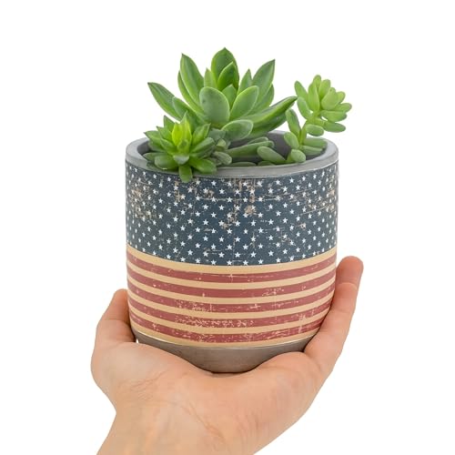 Lucky Winner Antique Style Patriotic Planter Pot -...