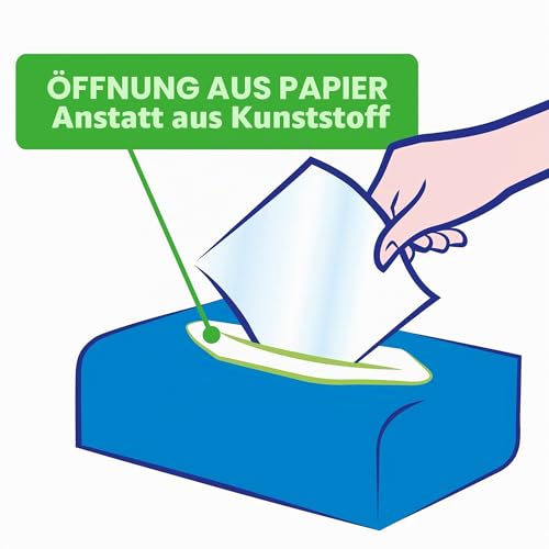 Tempo Tempo Taschentücher Natural & Soft, 4-lagig, maschinenfest, natürliche und weiche Taschentücher, ohne Duft, Farbstoffe und Allergene, 12 Packungen mit 70 Einweg-Taschentüchern