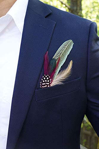 Zucker - Hat Feather Trims - Roaring 20S Flapper Style Feather Pick - Costume - Cosplay - Millinery - Floral Arrangements - Pheasant/Hackle/Guinea - Champagne/Mint/Natural #TOP3