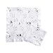 Aden by Aden + Anais Security Blanket 2 Pack, Trotting Fox