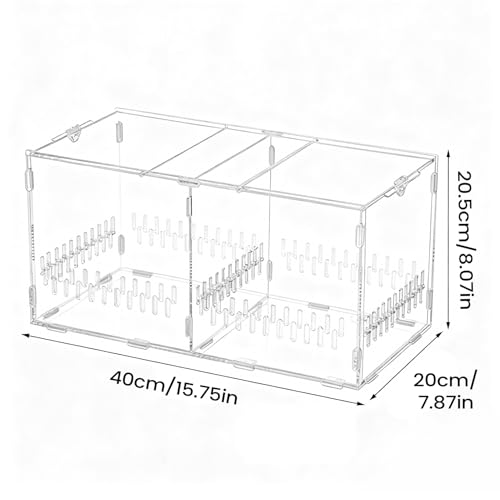 Enclos pour araignée sautante et décor naturel de sable sur votre bureau