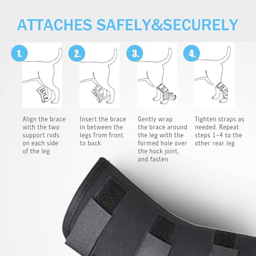 Image of 1 Pair Dog Leg Braces for Back Legs, Adjustable Hock Support Wrap for ACL Tear, Arthritis & Joint Pain Relief, Breathable Hind Leg Brace for Large & Senior Dogs (XL)