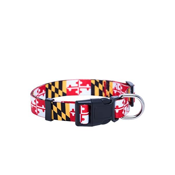 Native Pup Maryland Flag Dog Collar (Large) Native Pup Maryland Flag Dog Collar (Large)