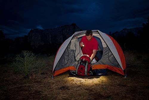 Ledlenser Police Tac Torch - LED Rechargeable Torch, Super Bright 280 Lumens, Powerful Lightweight Design, Long Distance Spotlight, Anti Roll Protection Feature, Hiking Torch, Dog Walking, Camping, Up To 25 Hour Battery Life.