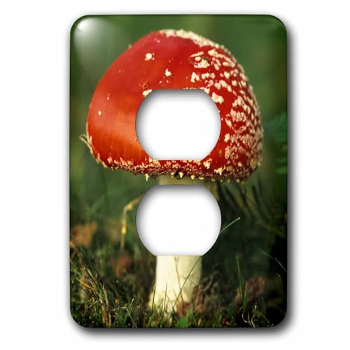 Prise de prise mushroom fungi 3dRose David Slater lsp_82751_6