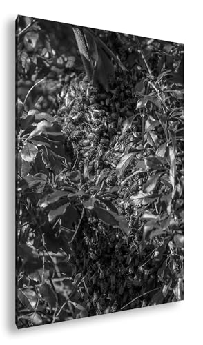 Tableau Biélorussie naturelle Deyoli noir et blanc pour salon contemporain