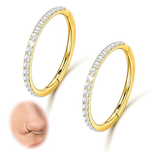 2PCS 20G 18G 16G Nose Ring Cartilage Hoop Earring Stainless Steel 4Colors Choose Hoop Earrings Hinged Summer Sparkle Septum Hoops Daith Conch Helix Tragus Piercing 6mm/7mm/8mm/9mm/10mm
