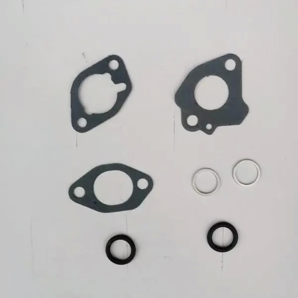 Set guarnizioni di Ricambio per carburatore Coperchio Testata Pompa Acqua Compatibile con Parti Motore Motore EX17 EX21