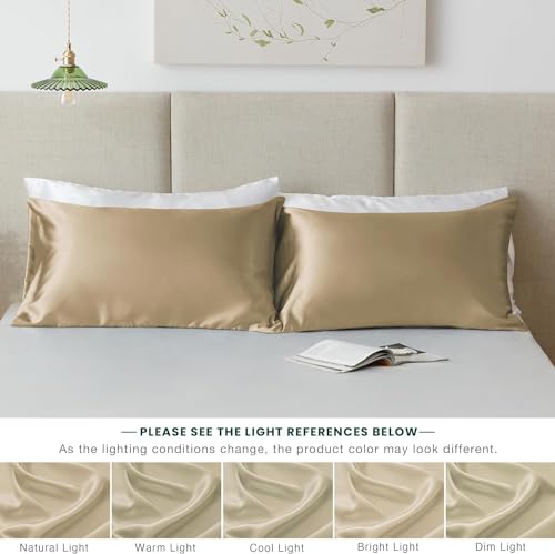 Satin Bonnet for Curly Hair with Pillow Covers and Scrunchies | Silk Bonnet for Hair|Best Gift Combo of Pack of 2 Satin Pillowcases with 3 Silk Scrunchies