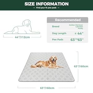 FXW-Washable-Pee-Pads-for-Dogs-Puppy-Pads-with-Super-Absorbent-63-x-63-Specifically-Designed-for-24inch-8-Panels-Dog-Playpen-Square - Cucciolini Doodles FXW-Washable-Pee-Pads-for-Dogs-Puppy-Pads-with-Super-Absorbent-63-x-63-Specifically-Designed-for-24inch-8-Panels-Dog-Playpen-Square