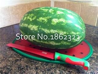 Kalash New 20 Pcs Watermelon Fruit Seed for Gardening Green 3