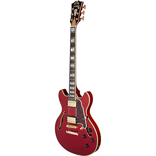 D'angelico Electric 6 String Acoustic Guitar, Right, Cherry (Daeminidctchgs) #TOP4