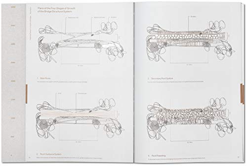 Julia Watson: Lo-Tek; Design By Radical Indigenism #TOP2