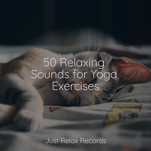 Play 50 Relaxing Sounds for Yoga Exercises by Baby Songs & Lullabies ...