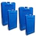 4 x Acumuladores de Frio/Bloques de Hielo para Neveras Portatiles y Mantenimiento o Aplicación de Frio. Pack de 2 XL 350cc + 2 L 200cc. Gran Duración