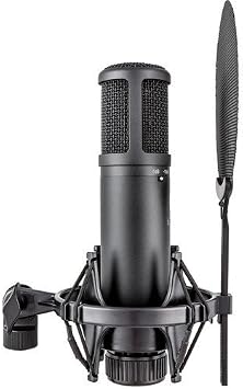 sE Electronics sE2200 Studio Condenser Cardioid Microphone with Isolation Pack plus XLR-XLR Cable and Pop Filter