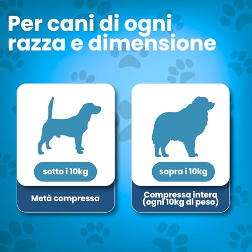 Db Labo Integratore Articolazioni Cane di Tutte Le età e Razze - 120 CPR di Joint Care Vegane con Glucosamina, Condroitina e Artiglio del Diavolo per la Flessibilità e Mobilità Articolare - Made IT - 6